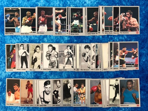 All world boxing 1991 - boxing, single